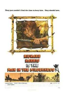 Man in the Wilderness poster