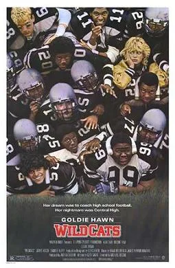 Wildcats poster