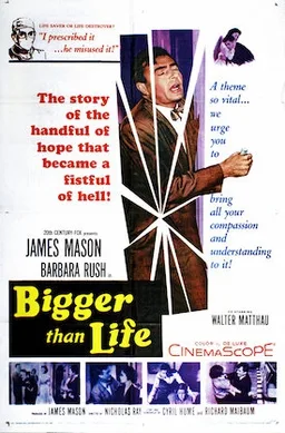 Bigger Than Life poster