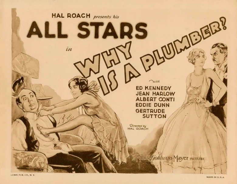 Why Is a Plumber? poster