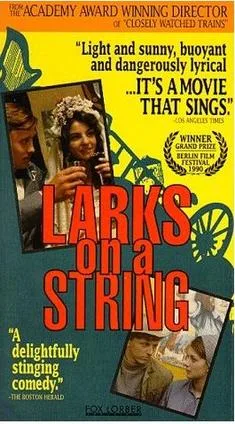 Larks on a String poster
