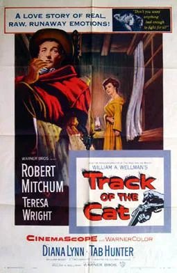 Track of the Cat poster