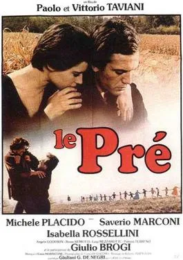 Il prato poster