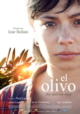 The Olive Tree poster