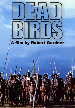 Dead Birds poster