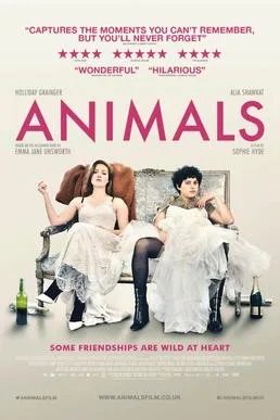 Animals poster