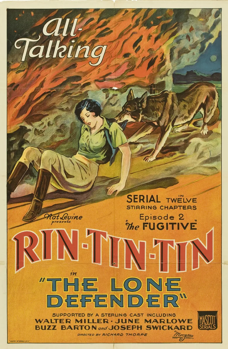 The Lone Defender poster