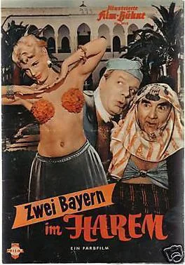 Two Bavarians in the Harem poster