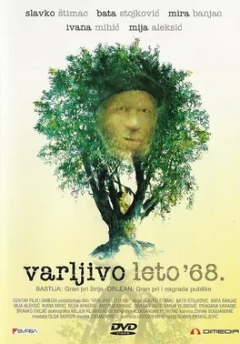 The Elusive Summer of '68 poster