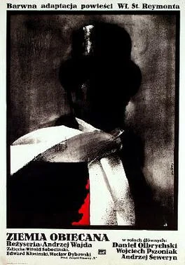 The Promised Land poster