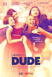 Dude poster