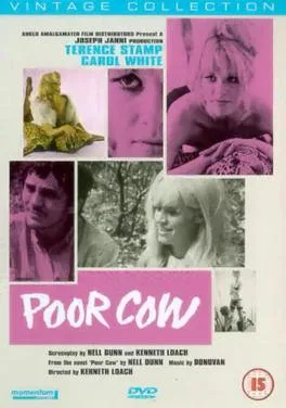 Poor Cow poster