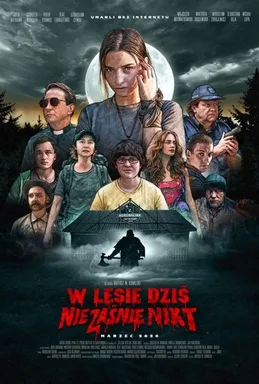 Nobody Sleeps in the Woods Tonight poster