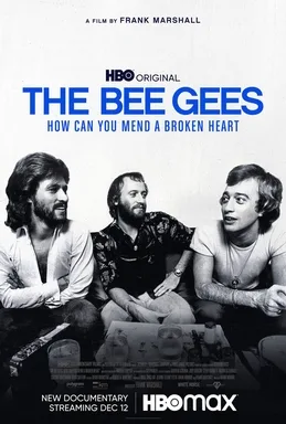 The Bee Gees: How Can You Mend a Broken Heart poster