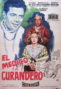Doctor and the Healer poster