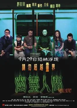 Visible Secret poster