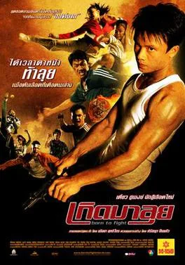 Born to Fight poster