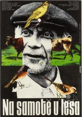 Seclusion Near a Forest poster