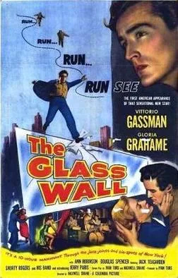 The Glass Wall poster