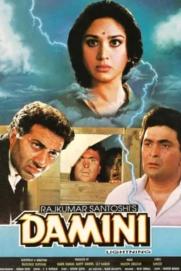 Damini poster