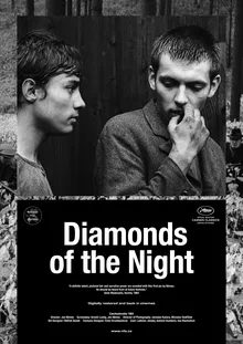 Diamonds of the Night poster