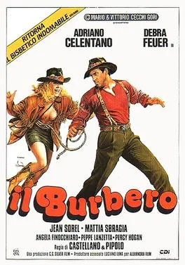 Il burbero poster