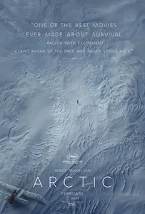 Arctic poster