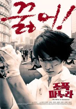 My Wife Is a Gangster poster