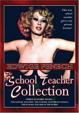 The School Teacher poster