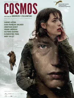 Cosmos poster