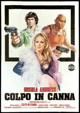 Loaded Guns poster