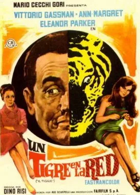 The Tiger and the Pussycat poster