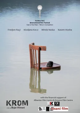 Chromium poster