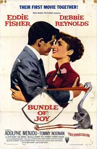Bundle of Joy poster