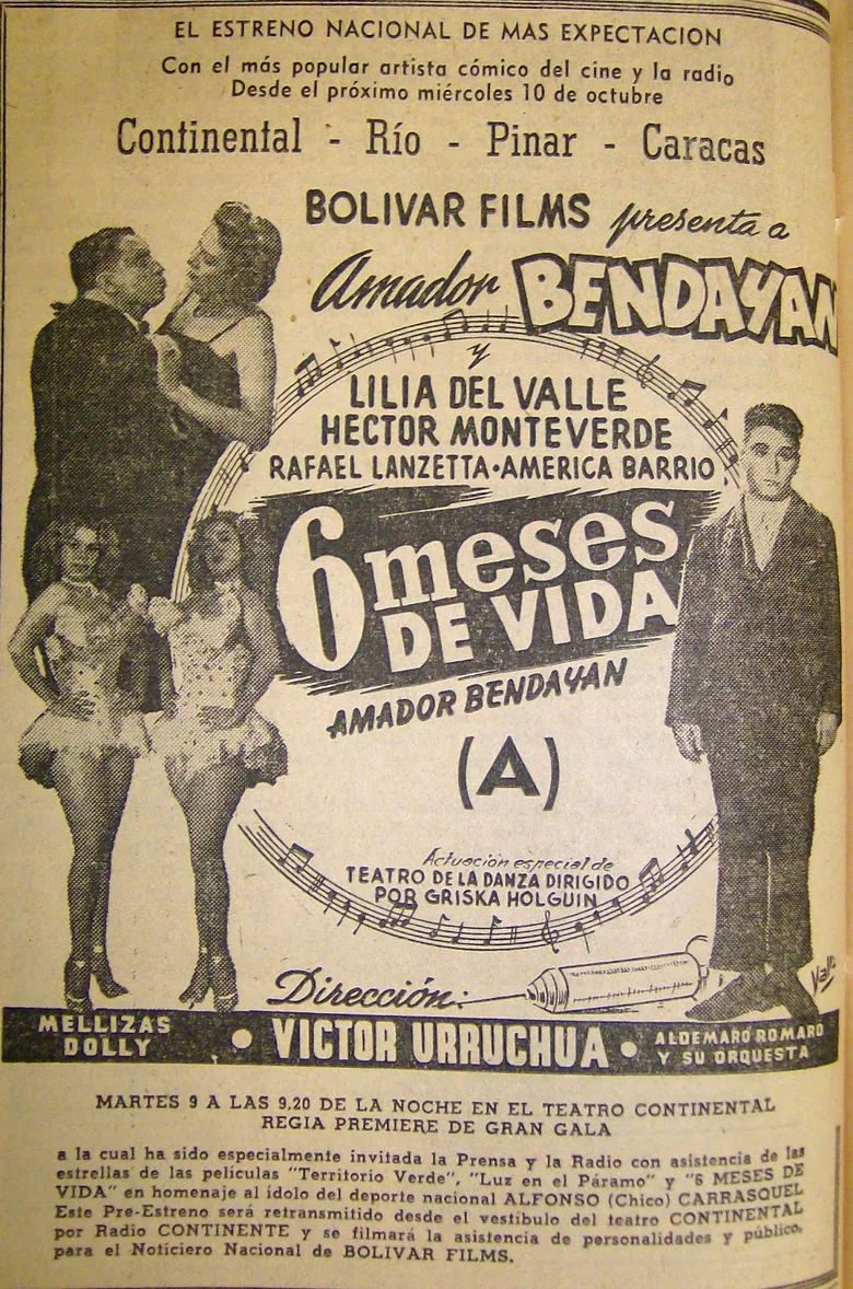 Six Months of Life poster