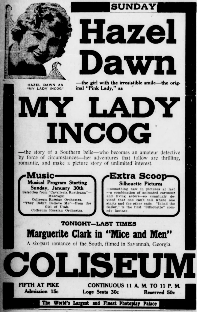My Lady Incog poster