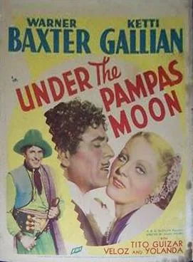 Under the Pampas Moon poster