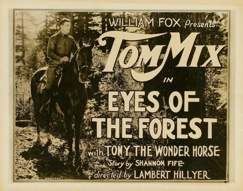 Eyes of the Forest poster