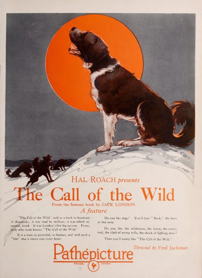 The Call of the Wild poster