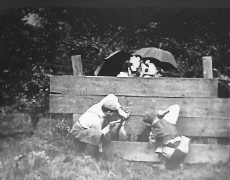 Ladies' Skirts Nailed to a Fence poster