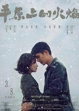 Fire on the Plain poster
