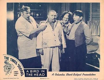 A Bird in the Head poster