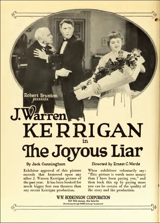 The Joyous Liar poster