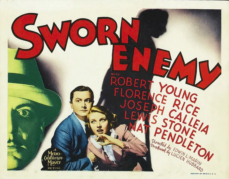 Sworn Enemy poster