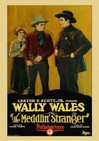 The Meddlin' Stranger poster