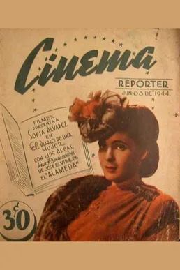 A Woman's Diary poster