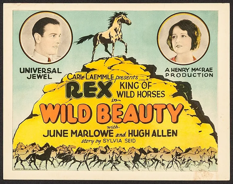 Wild Beauty poster