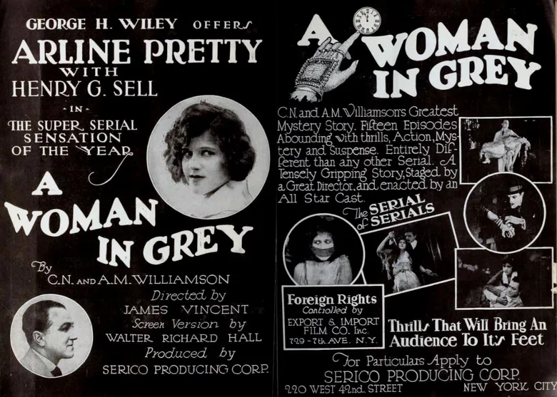 A Woman in Grey poster