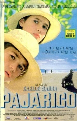 Pajarico poster