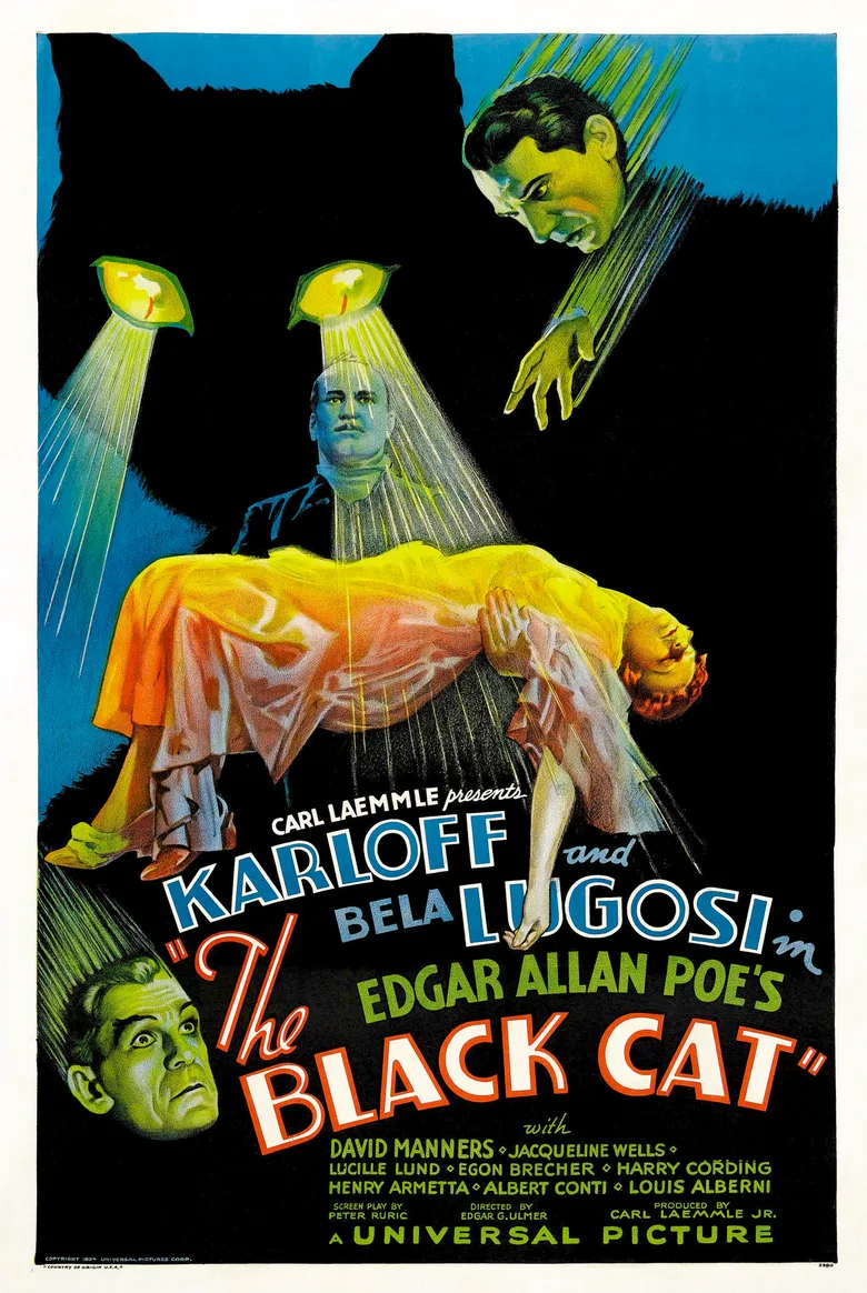 The Black Cat poster